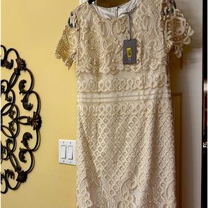 Preston & York White Fay Lace Scoop Neck Short Sleeve Dress Cocktail Sheath NEW